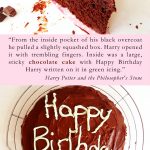 Gateau D Hagrid Harry Potter Picnic On A Broom