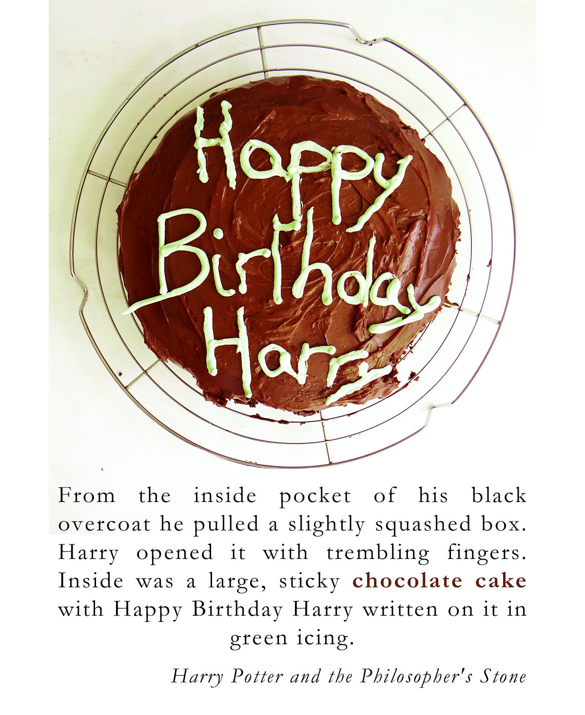 hagrid's birthday cake for harry quote