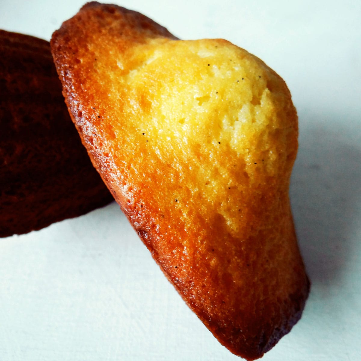 White chocolate madeleines Picnic on a Broom