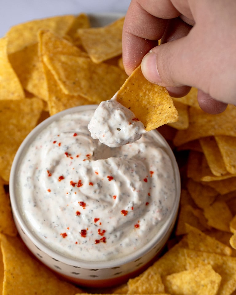 Yogurt dip for chips Picnic on a Broom